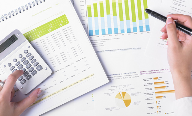 Minna Paddi Asset Management - About Company