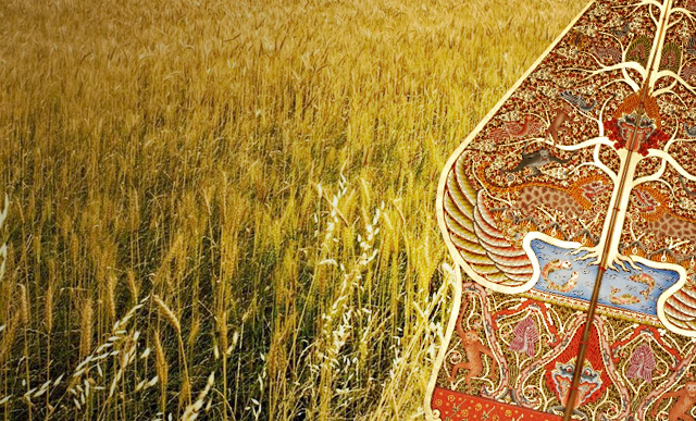 Minna Padi Aset Manajemen - Keraton Balance