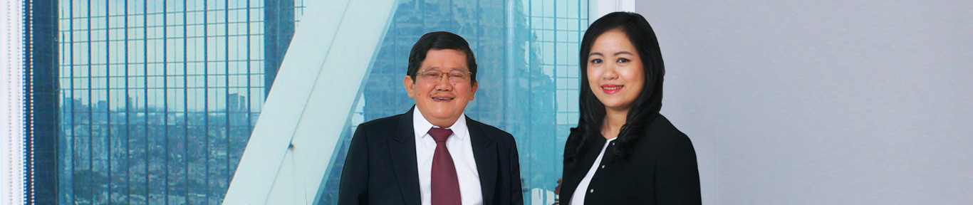 Minna Paddi Asset Management - Vision & Mission